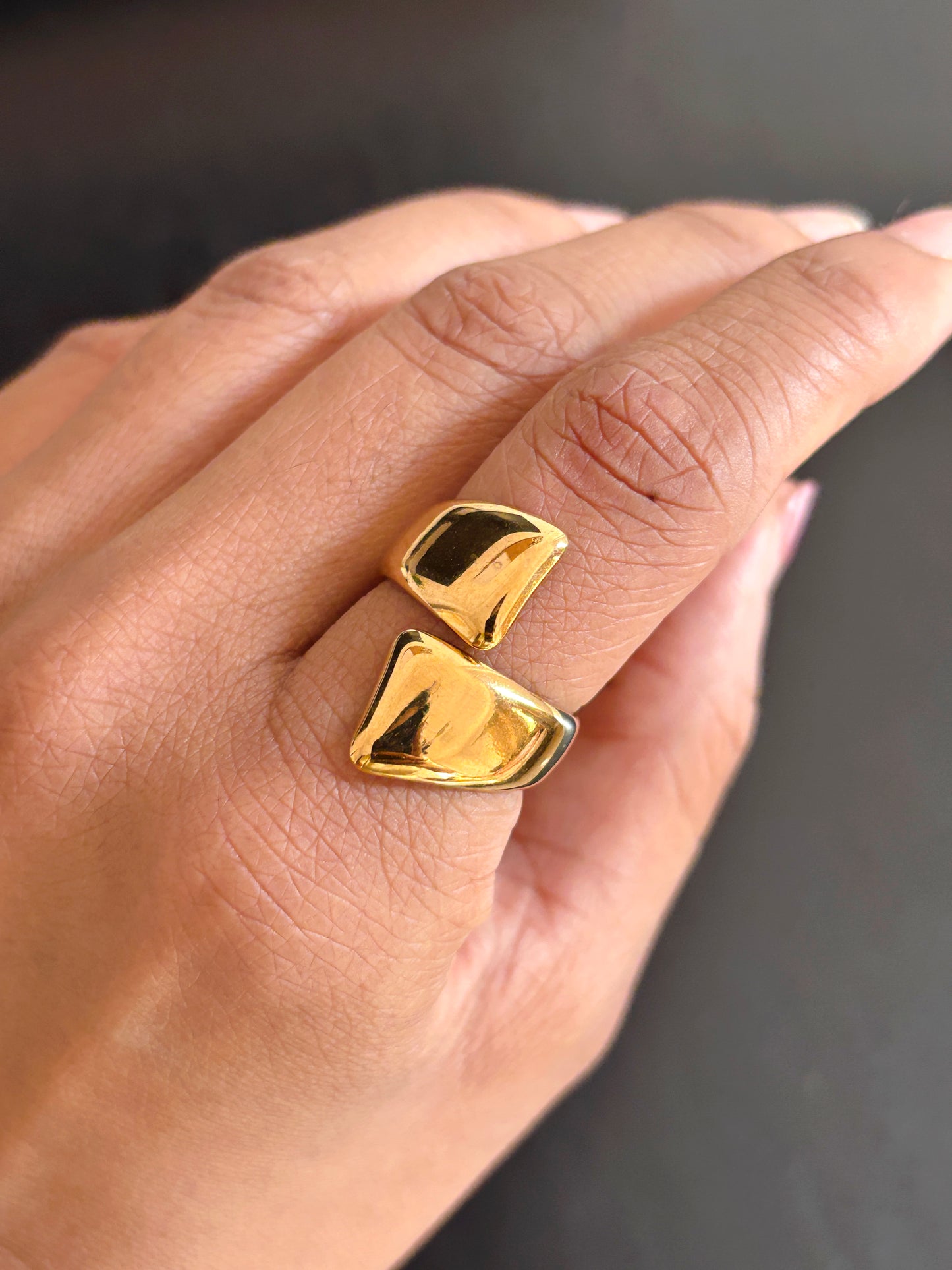 Vienna Ring