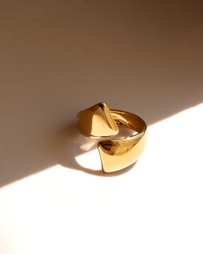 Vienna Ring