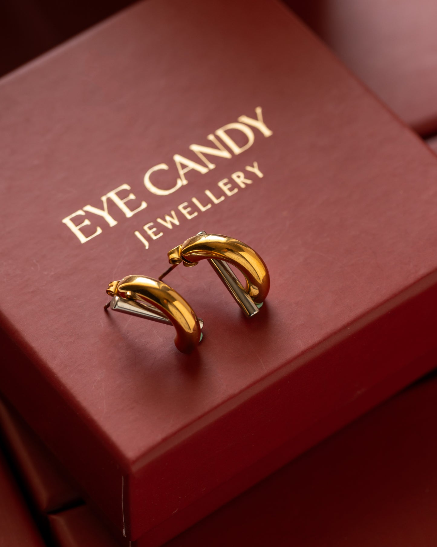 Dual tone earrings