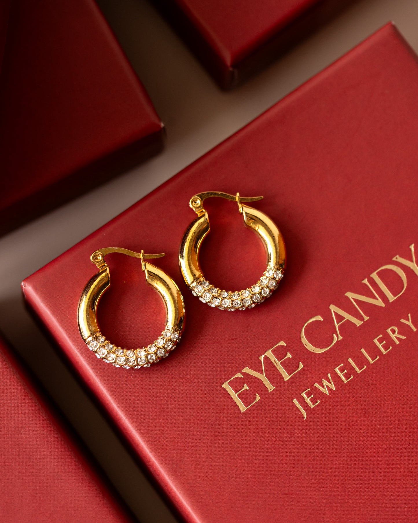 Anna Diamond hoops